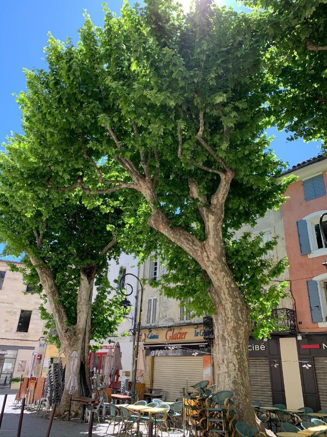 Fleurs De Provence Apartamento LʼIsle-sur-la-Sorgue Exterior foto