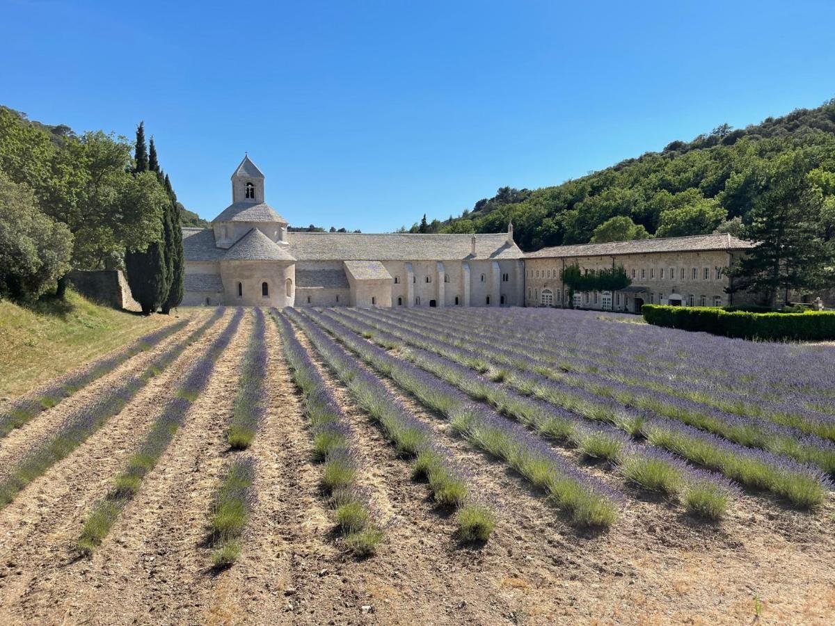 Fleurs De Provence Apartamento LʼIsle-sur-la-Sorgue Exterior foto